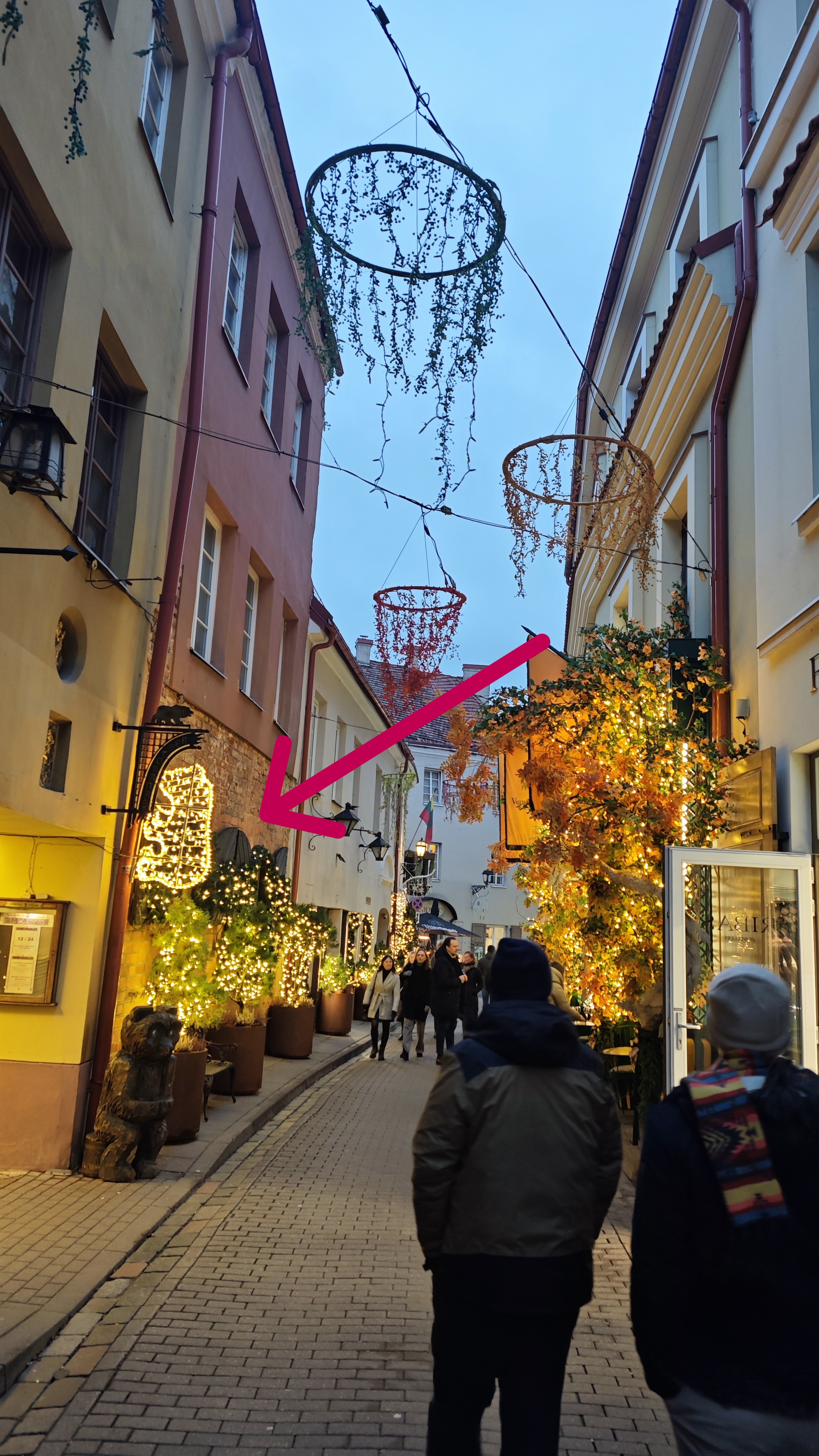 Lokys Restaurant Vilna