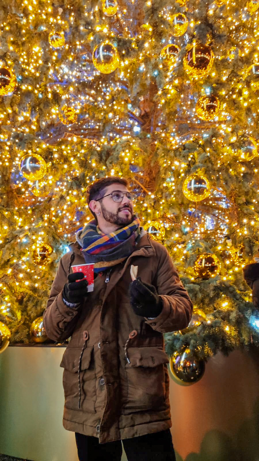 Árbol de Navidad en la plaza de la catedral de Vilna. Encendido 2024