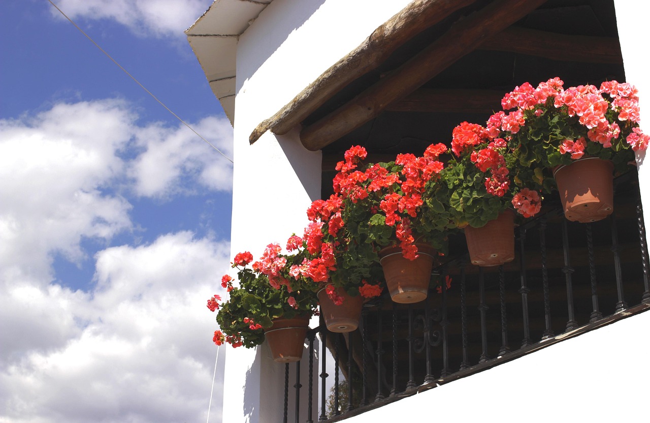 Balcón con flores en la Alpujarra