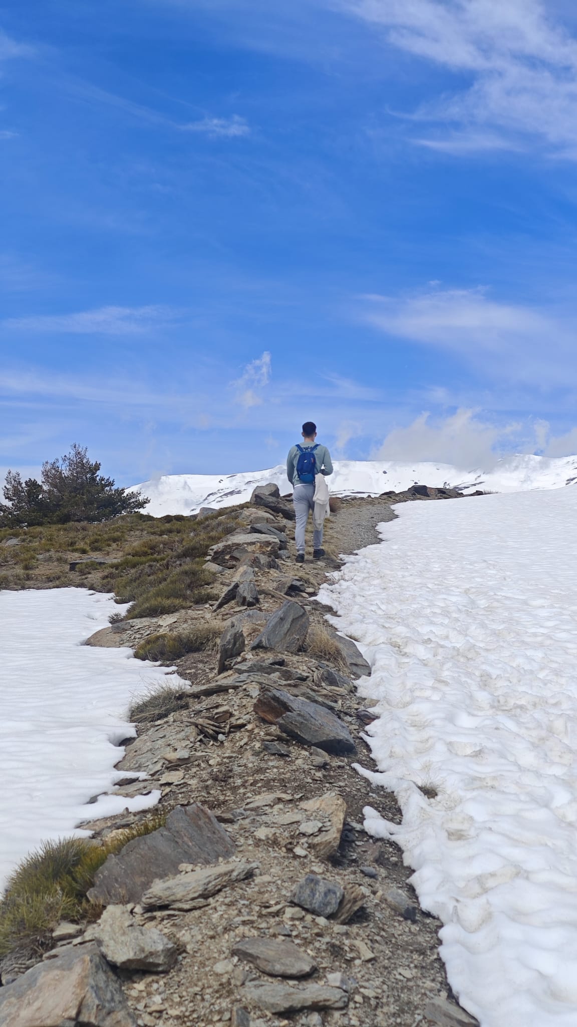 Ruta de Trekking desde Hoya del Portillo al Mirador Puerto Molina