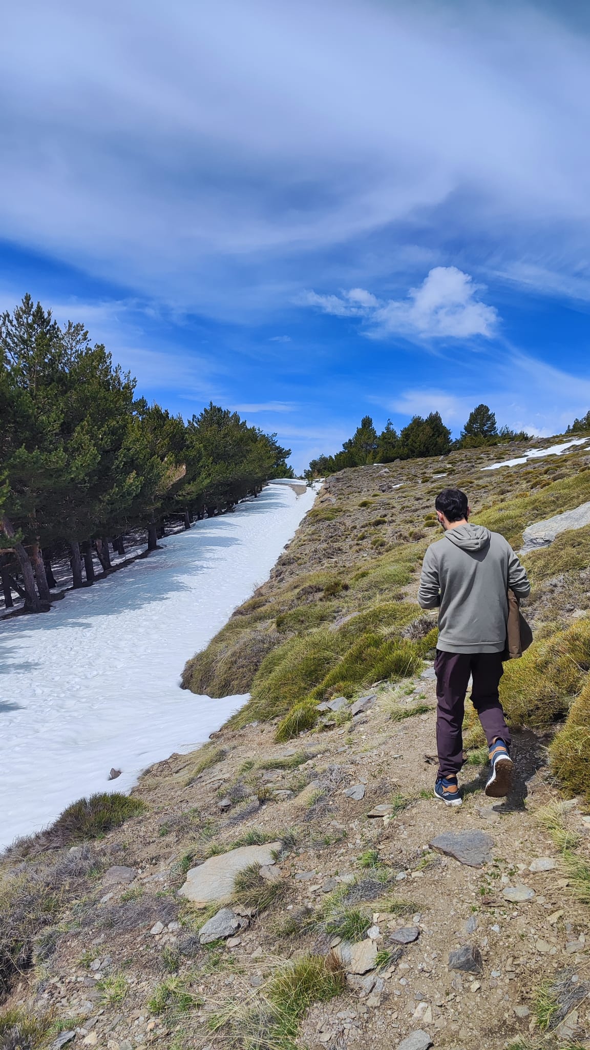 Ruta de Trekking desde Hoya del Portillo al Mirador Puerto Molina