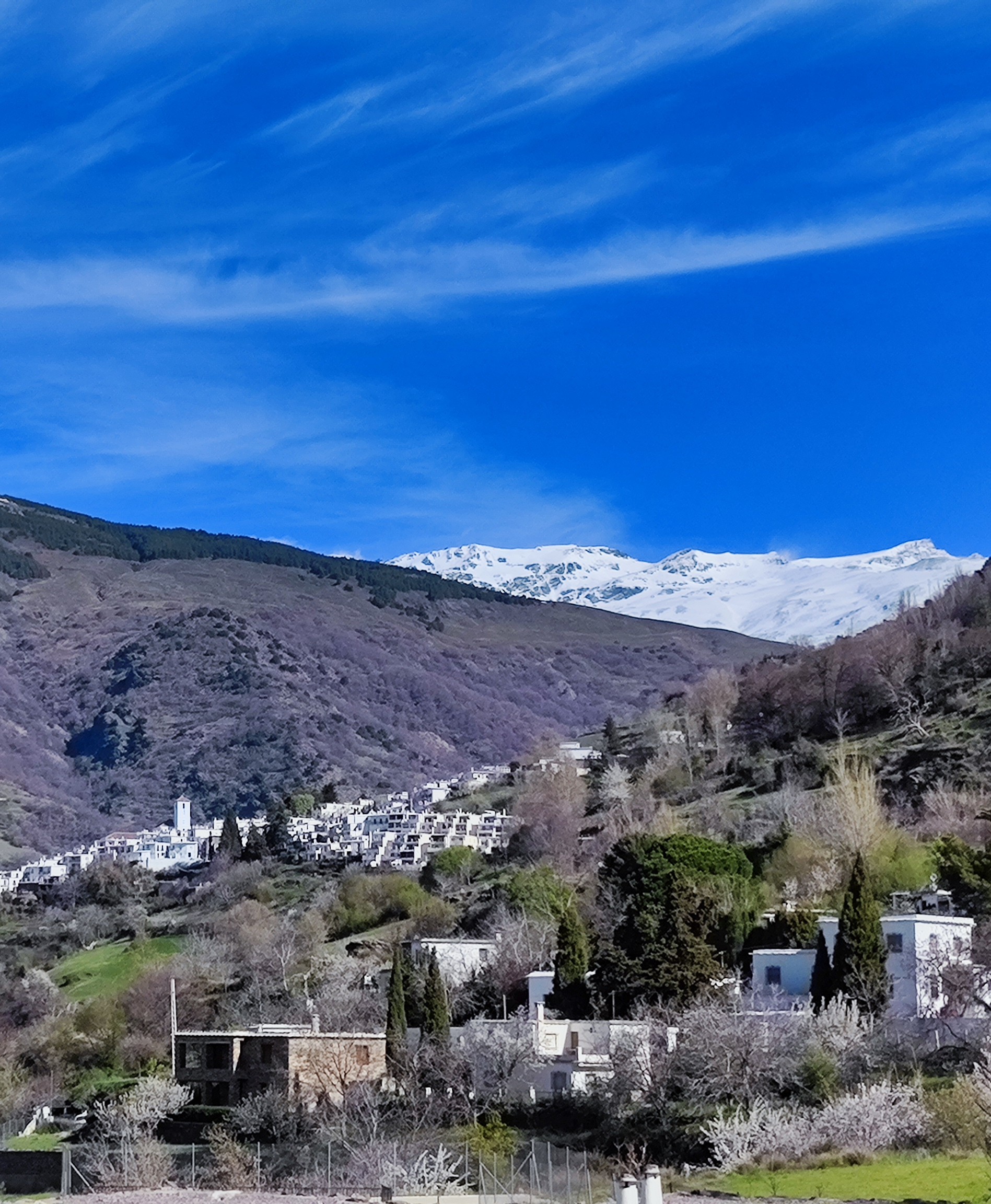 Panorámica de Sierra Nevada y Capileira desde Bubión