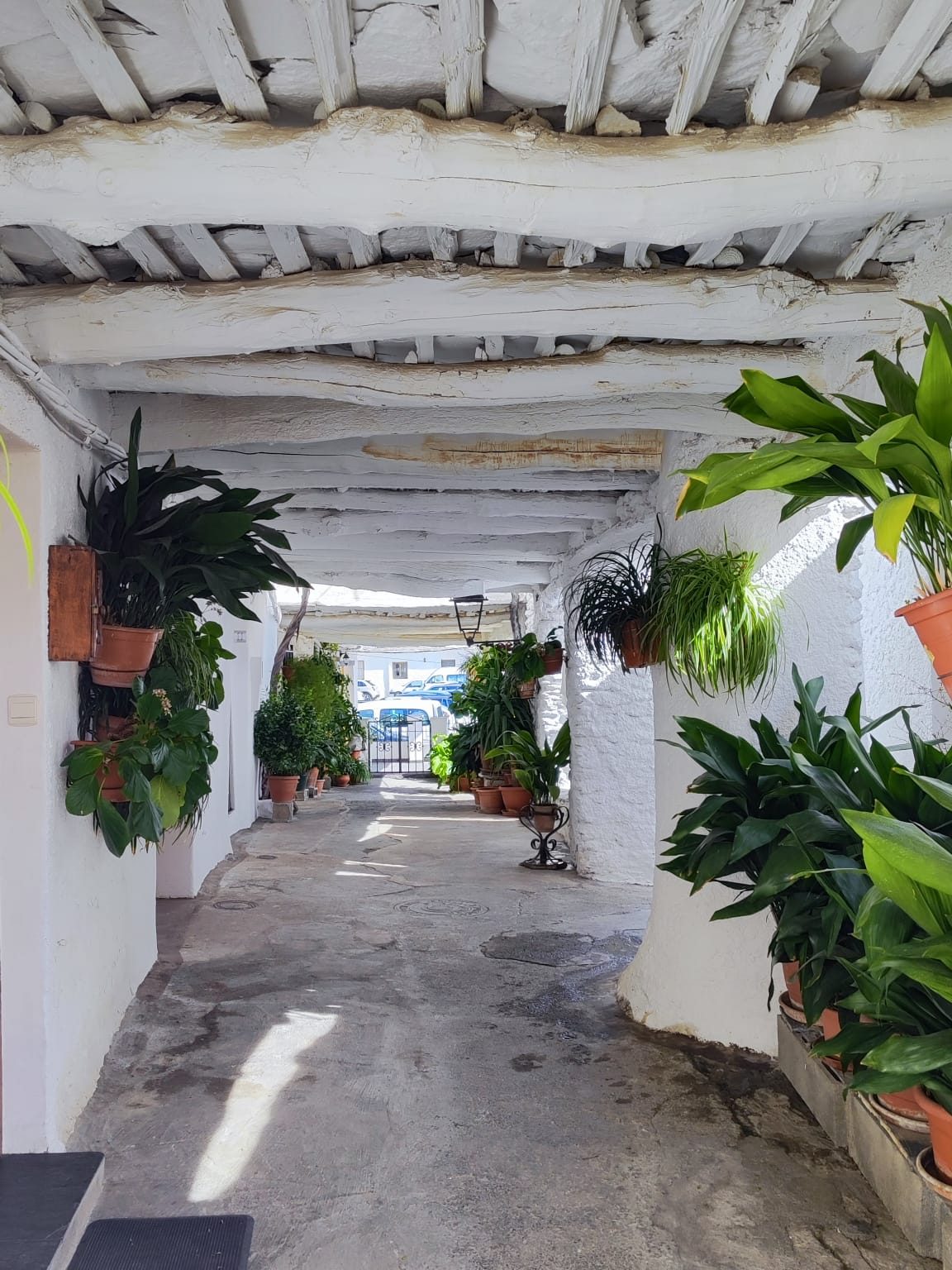 Tinao tipico de la Alpujarra, en Capileira