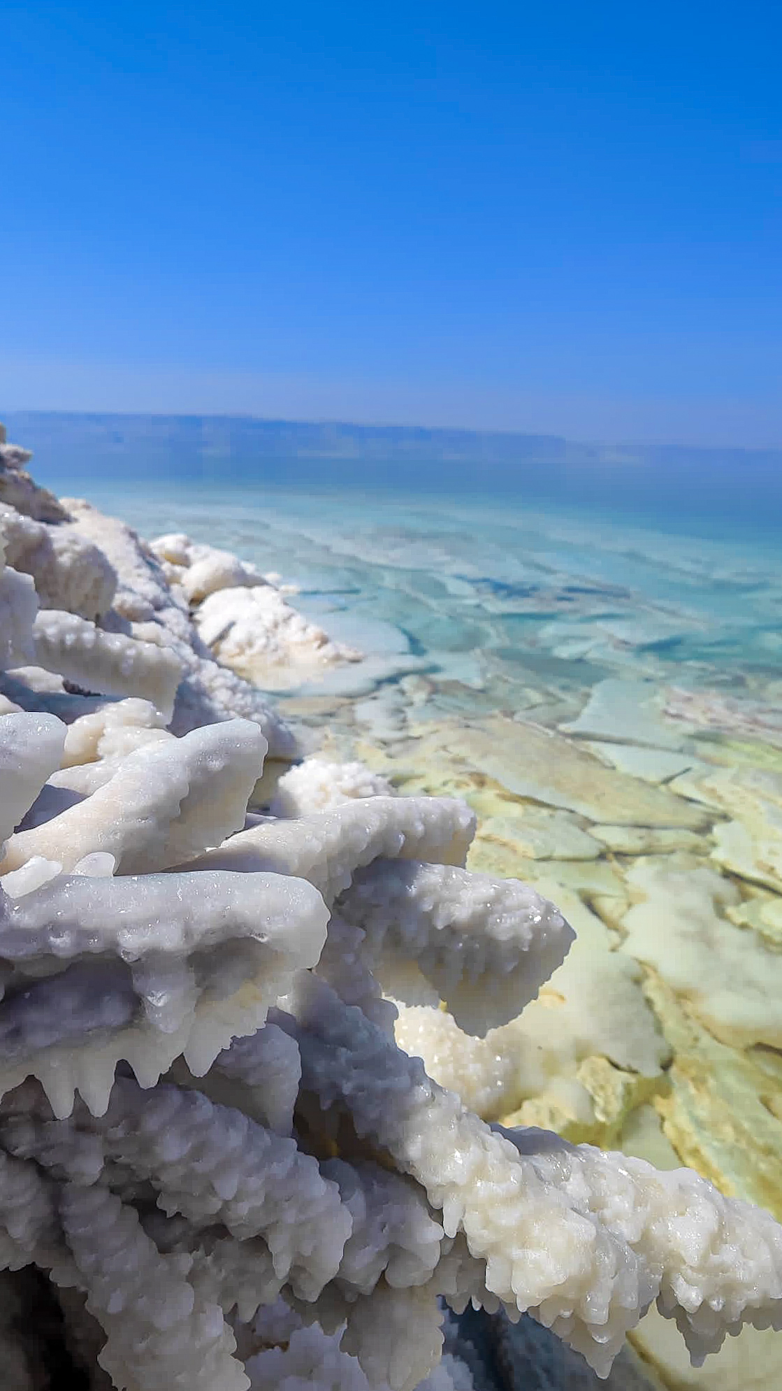 Formaciones evaporíticas o costras salinas en las orillas del Mar Muerto, Jordania.