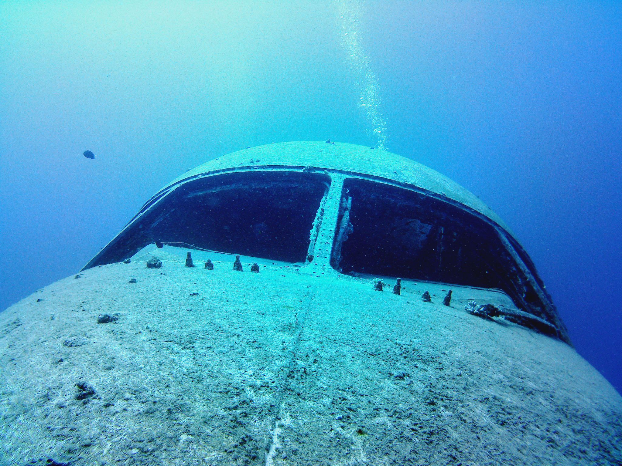 Pecio del Hércules-130, avión hundido en el Mar Rojo