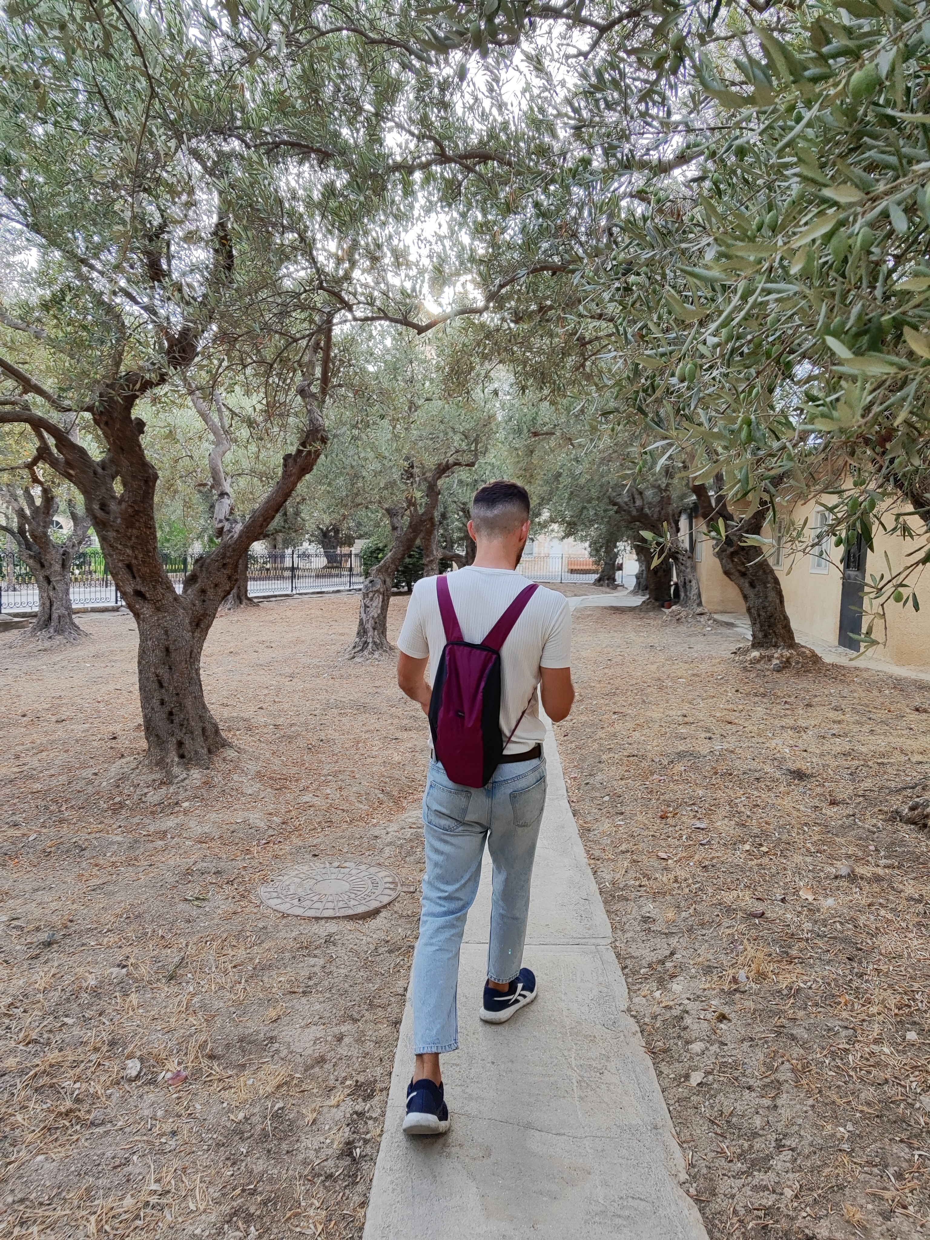 Monte de los Olivos, Jerusalén