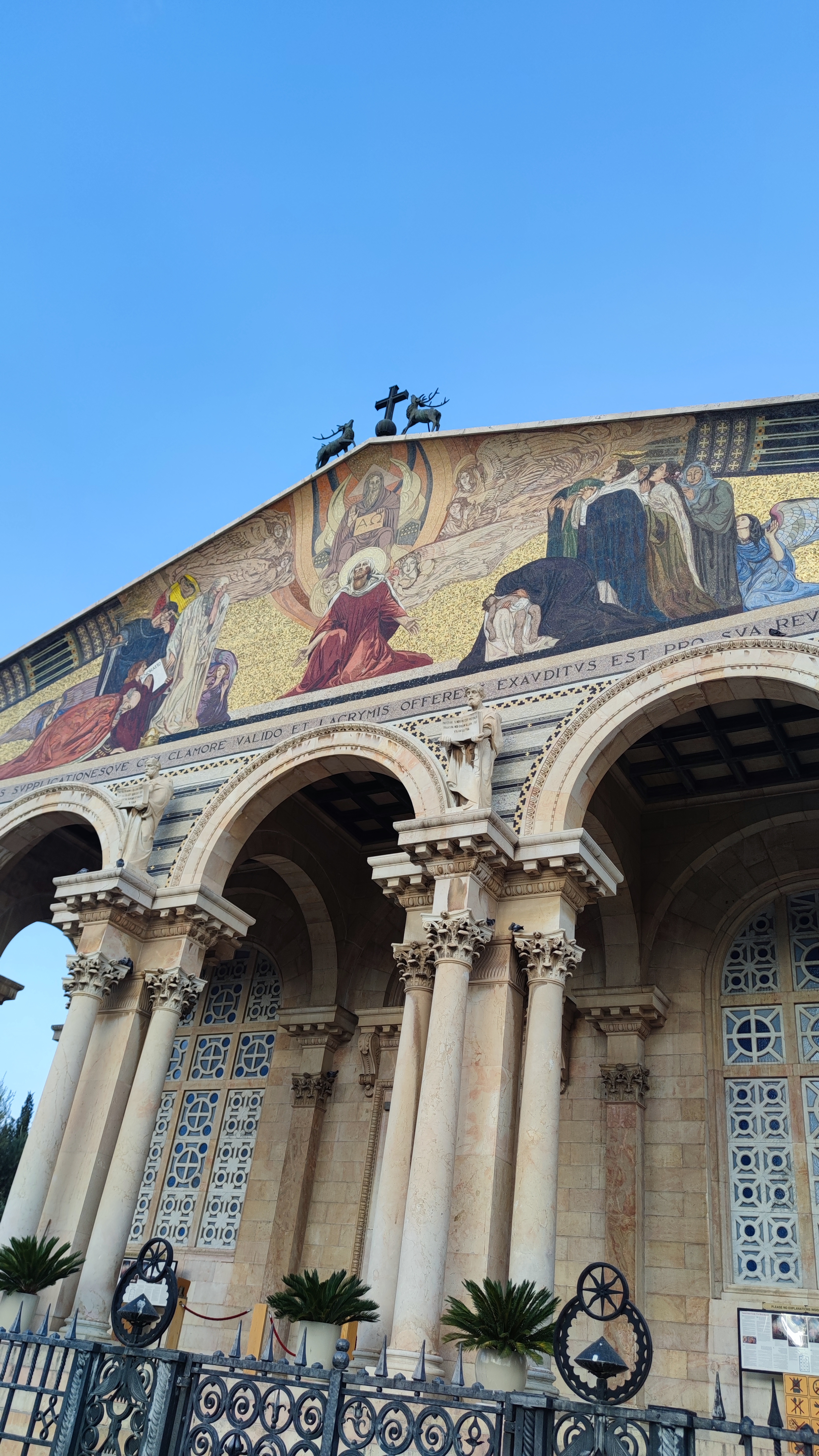 Jardín de Getsemaní, Monte de los Olivos, Jerusalén