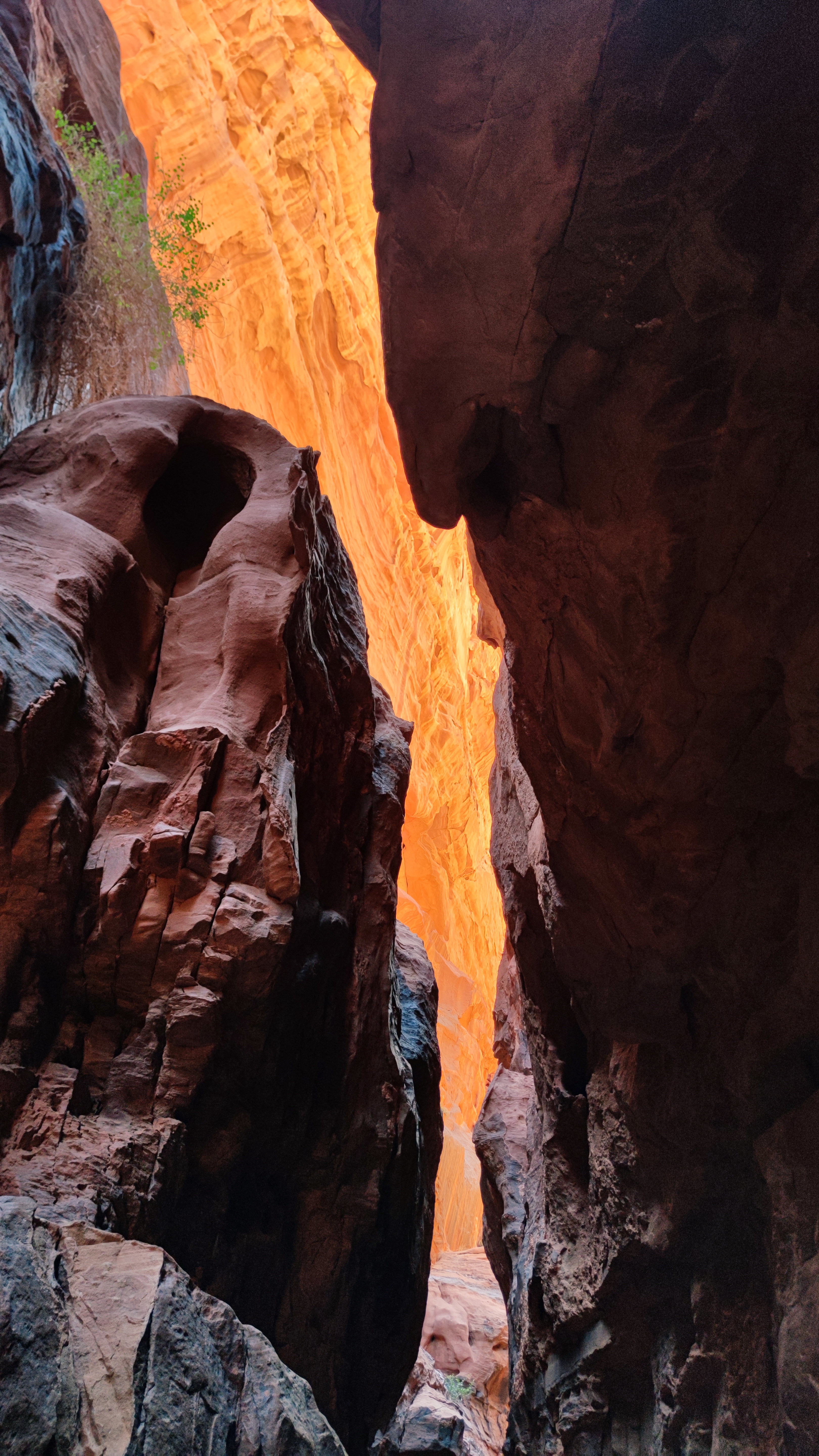 Khazali Canyon, Desierto de Wadi Rum, Jordania