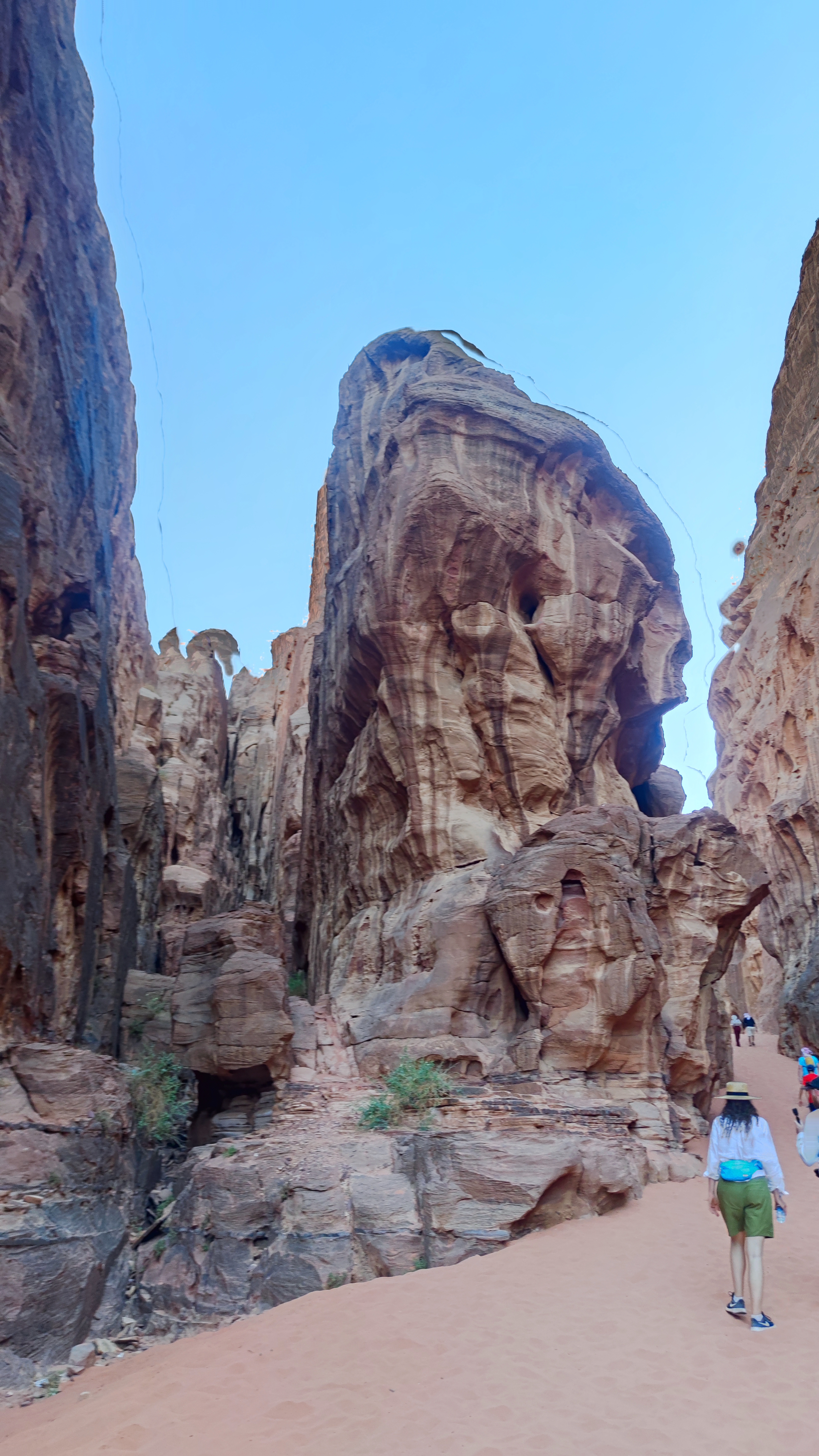 Abu Khashaba Canyon, Desierto de Wadi Rum, Jordania.