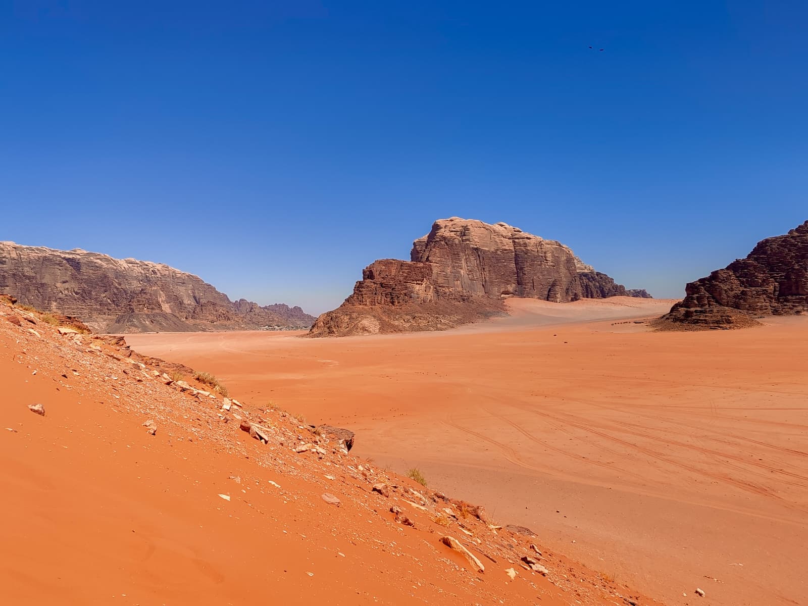 Red Sand Dune, Desierto de Wadi Rum, Jordania.