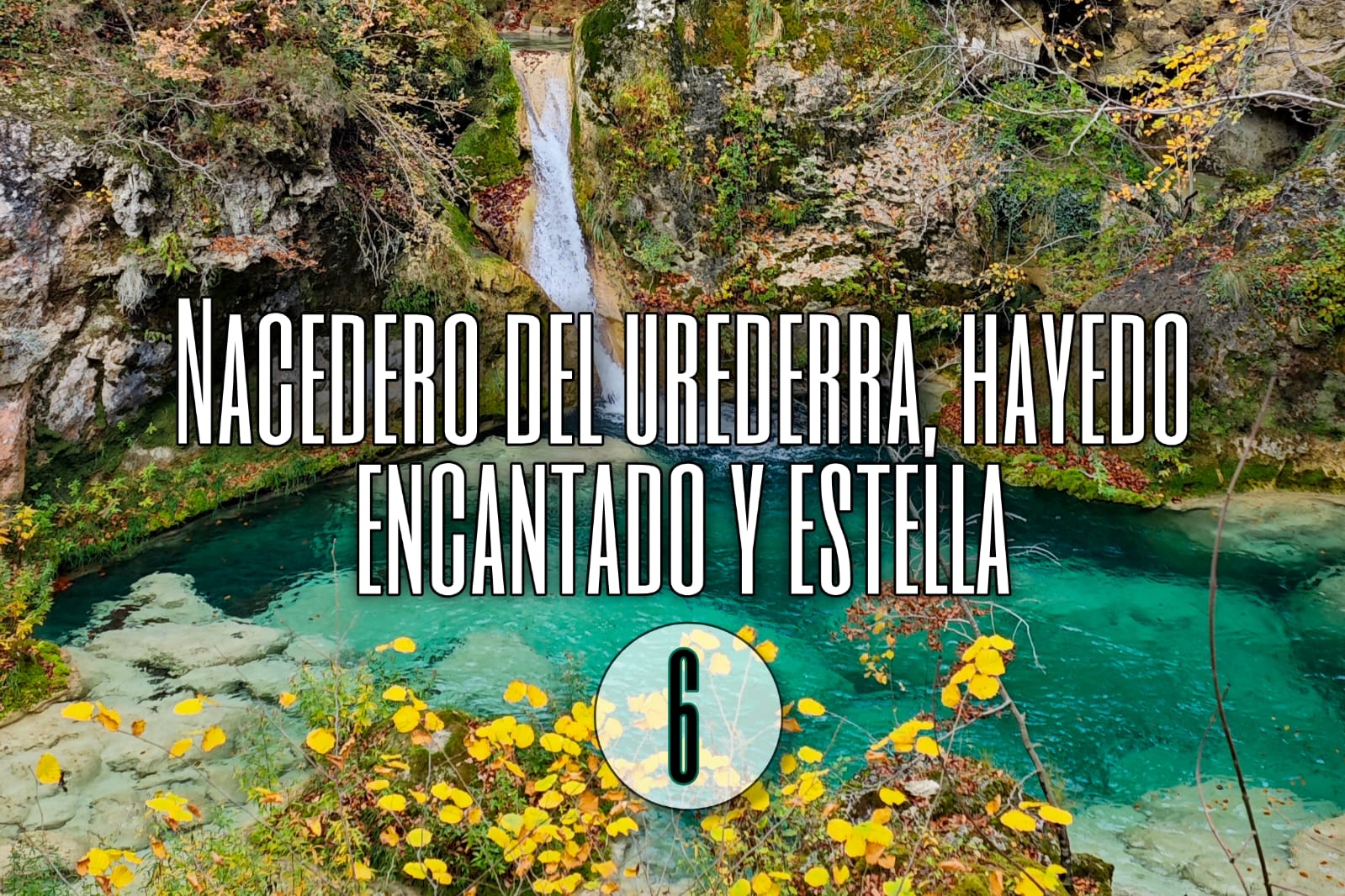 Dia 6: Nacedero del Río Urederra, Hayedo Encantado Y Estella