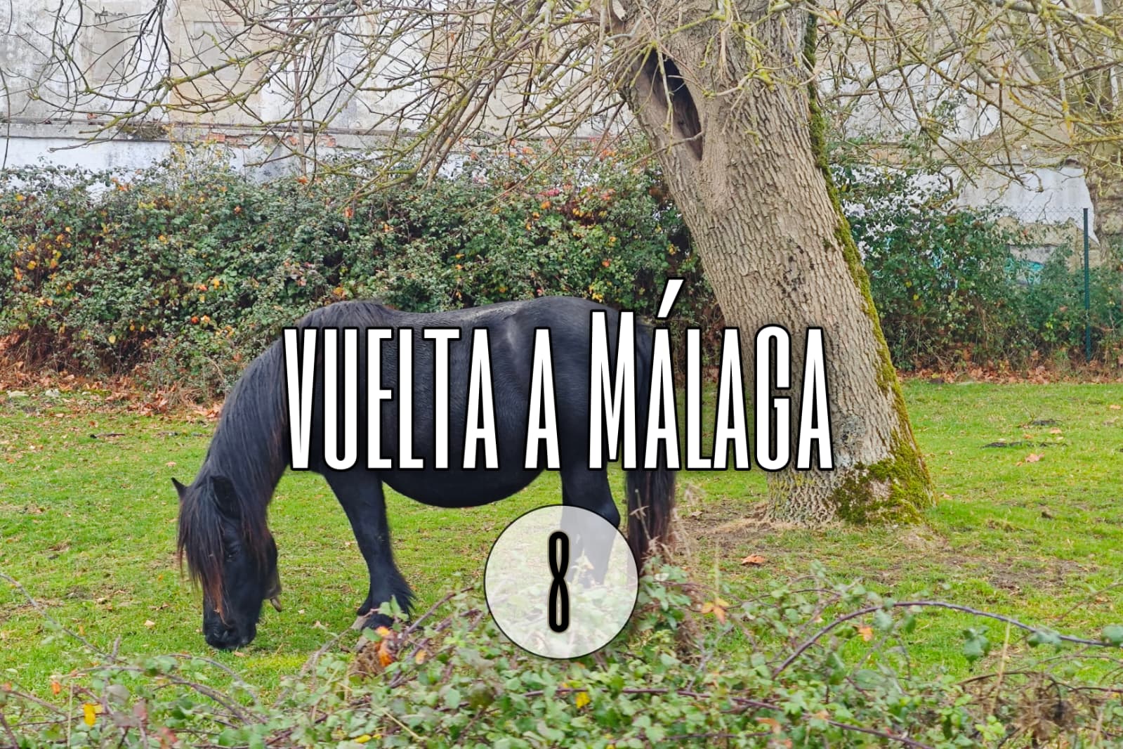 Día 8. Vuelta a Málaga (y otros pueblos que visitar de vuelta a casa)