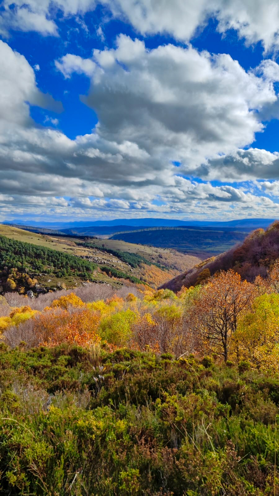 Vistas panorámicas en el último tramo de la senda a la cascada de la Salceda, Quisicedo, Burgos