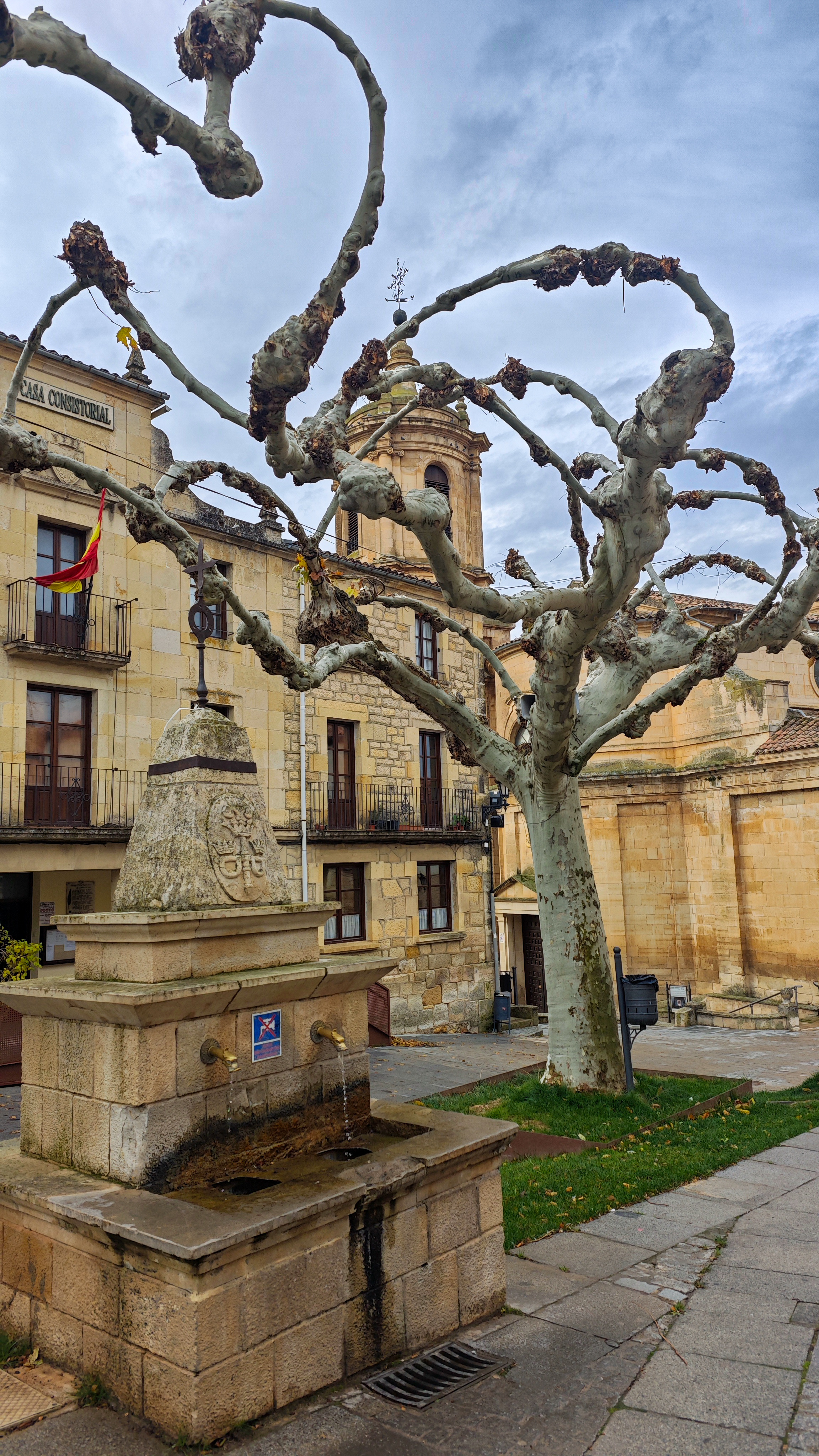 Plaza principal en Santo Domingo de Silos