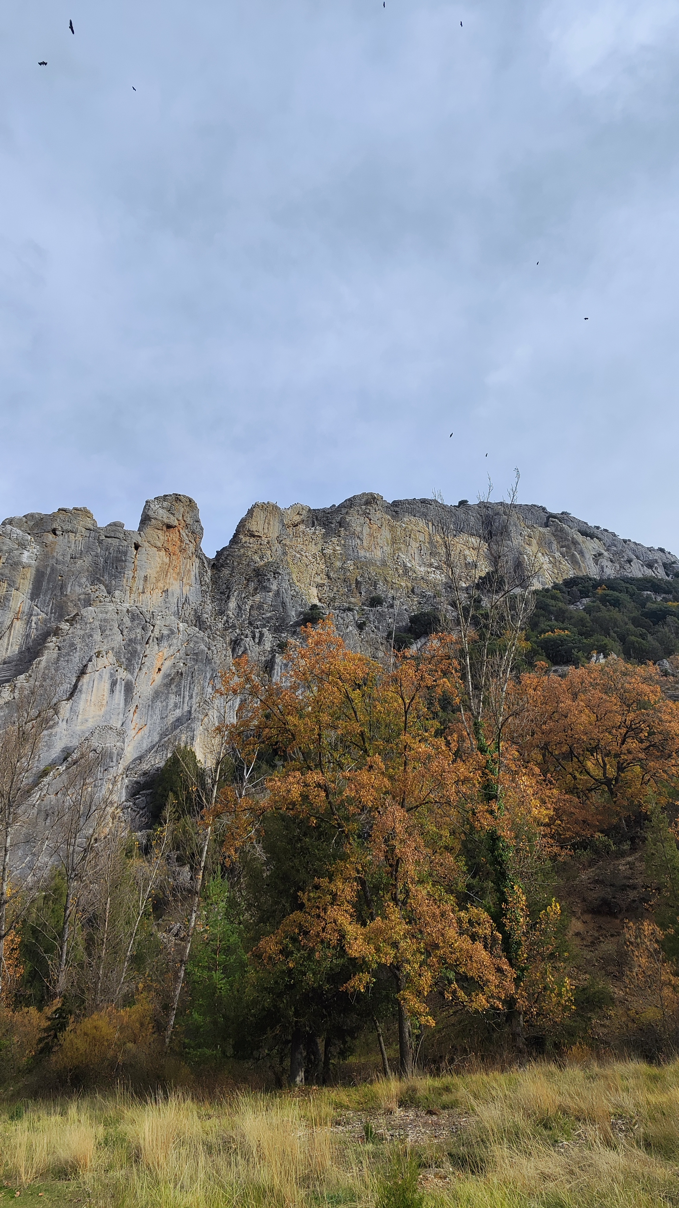 Desfiladero de la Yecla