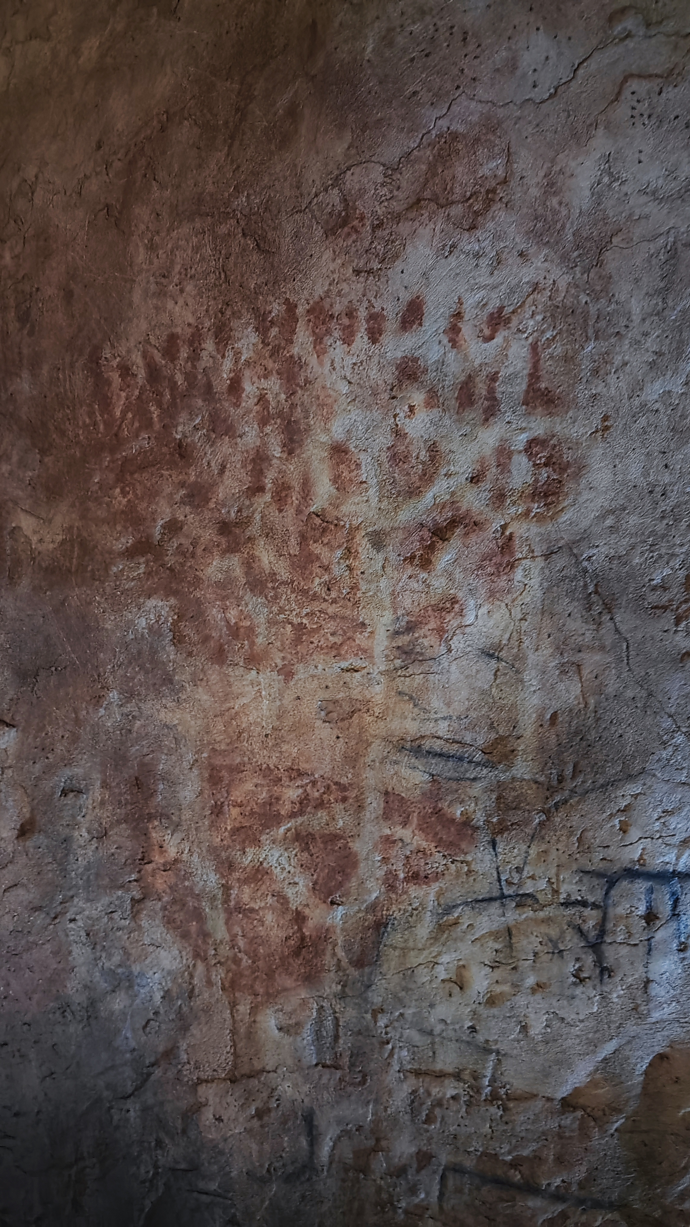 Museo de la Evolución Humana, Burgos