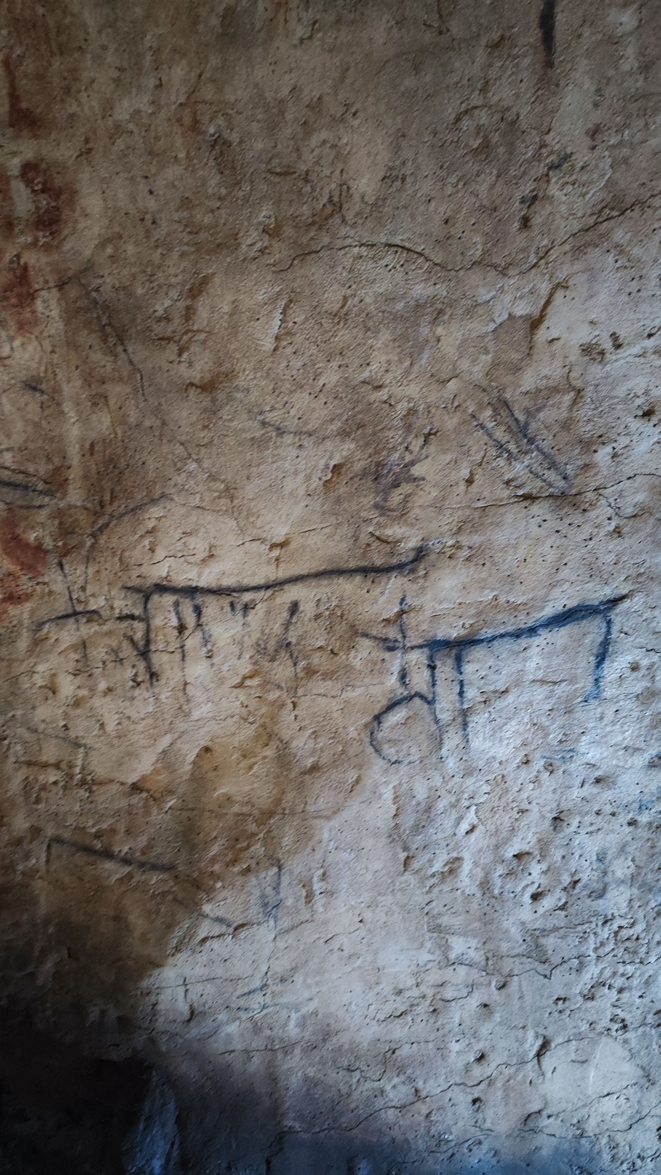 Museo de la Evolución Humana, Burgos