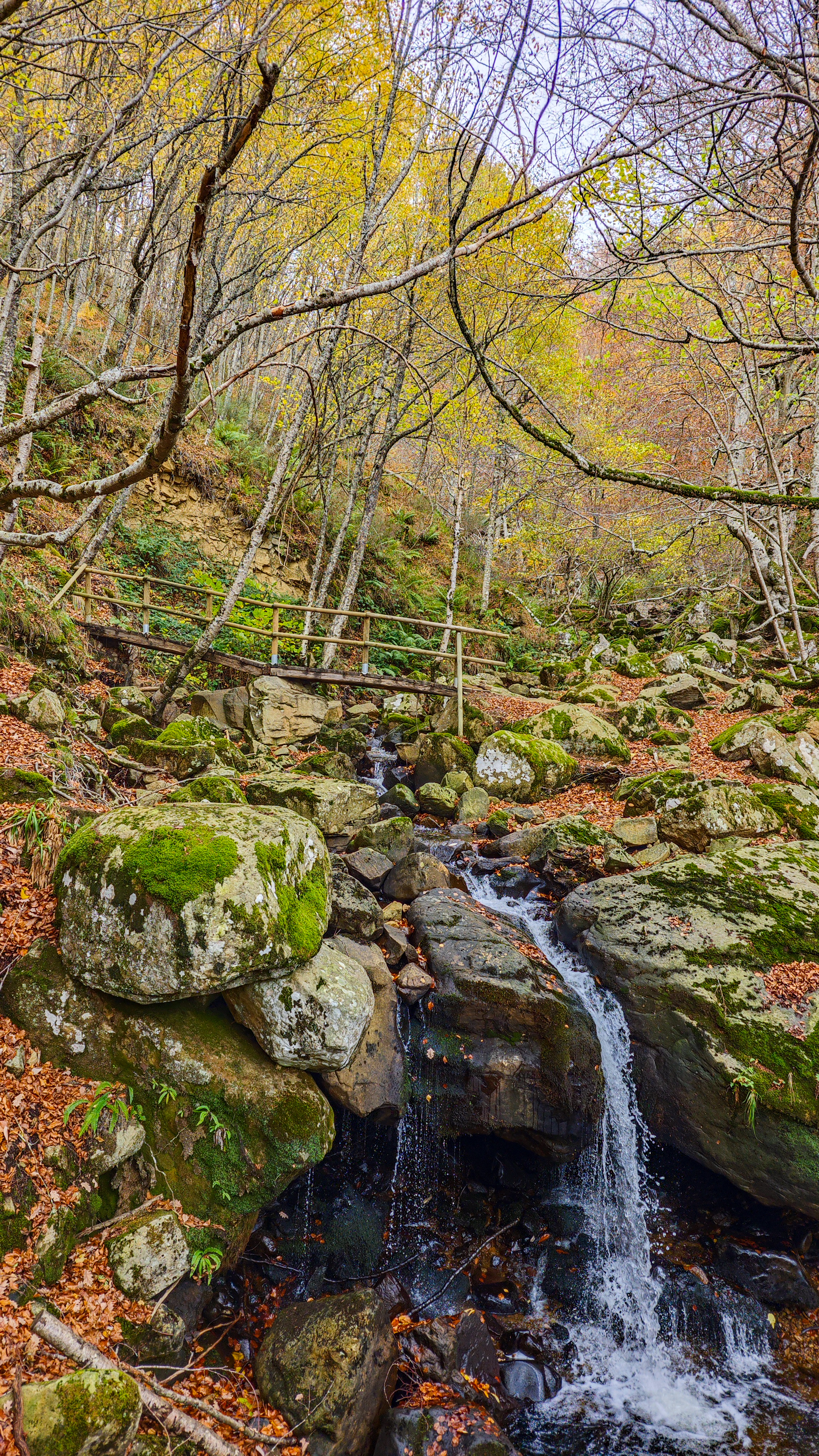 Sendero en otoño de la ruta a la Cascada de la Salceda, Quisicedo, Burgos