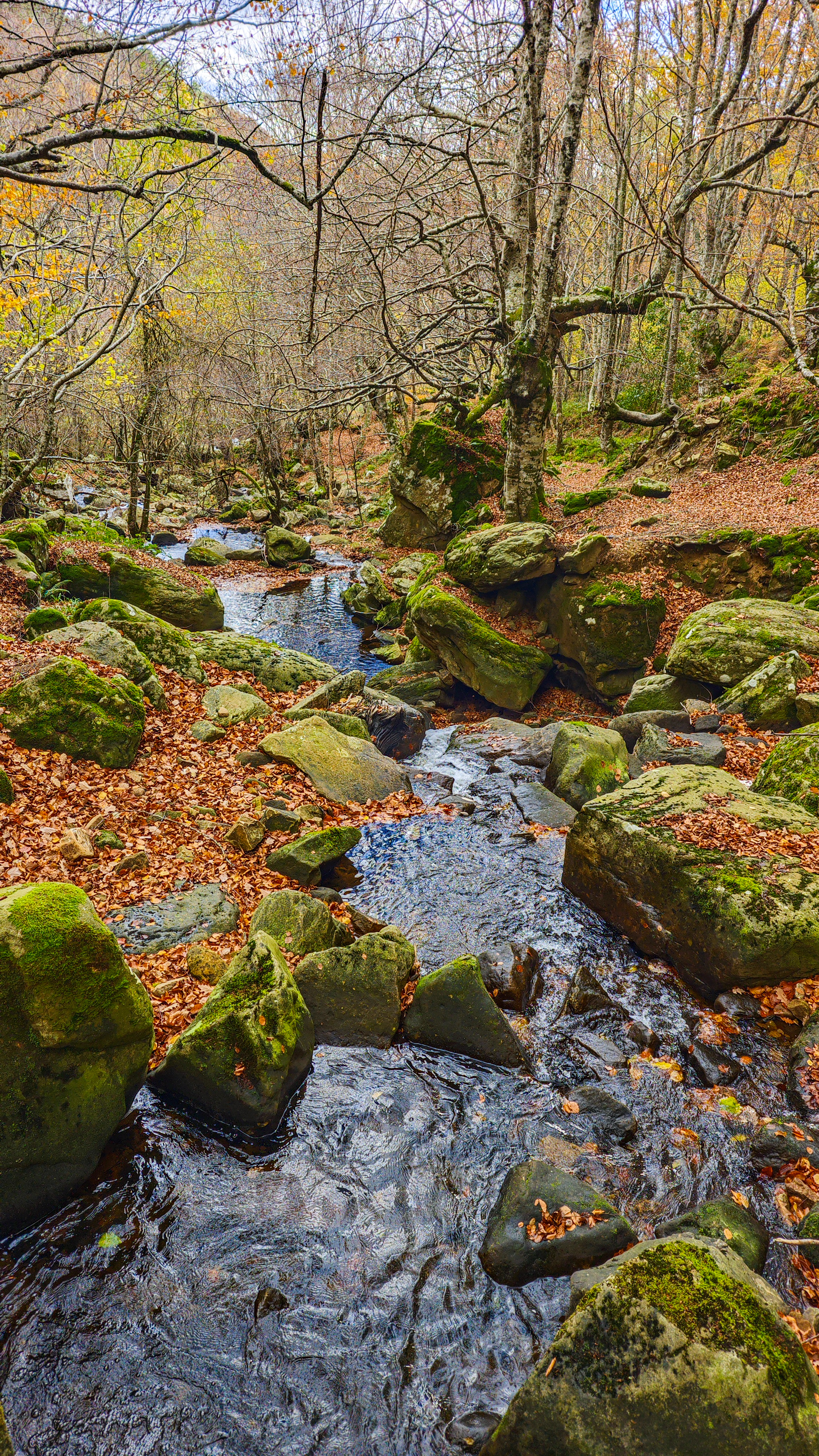 Ruta Cascada de la Salceda