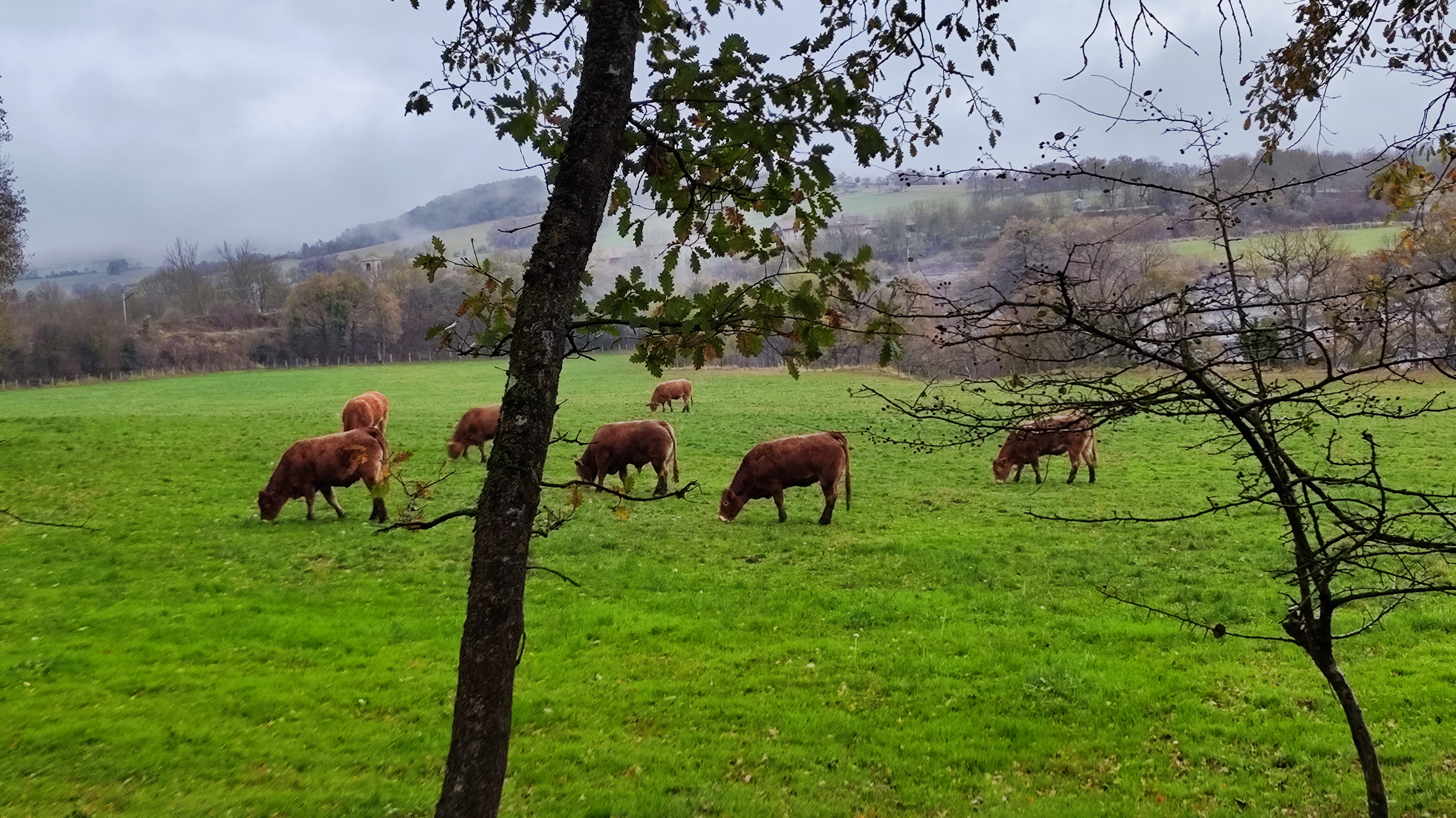 Praderas durante el camino hacia Cascada de Gujuli, País Vasco