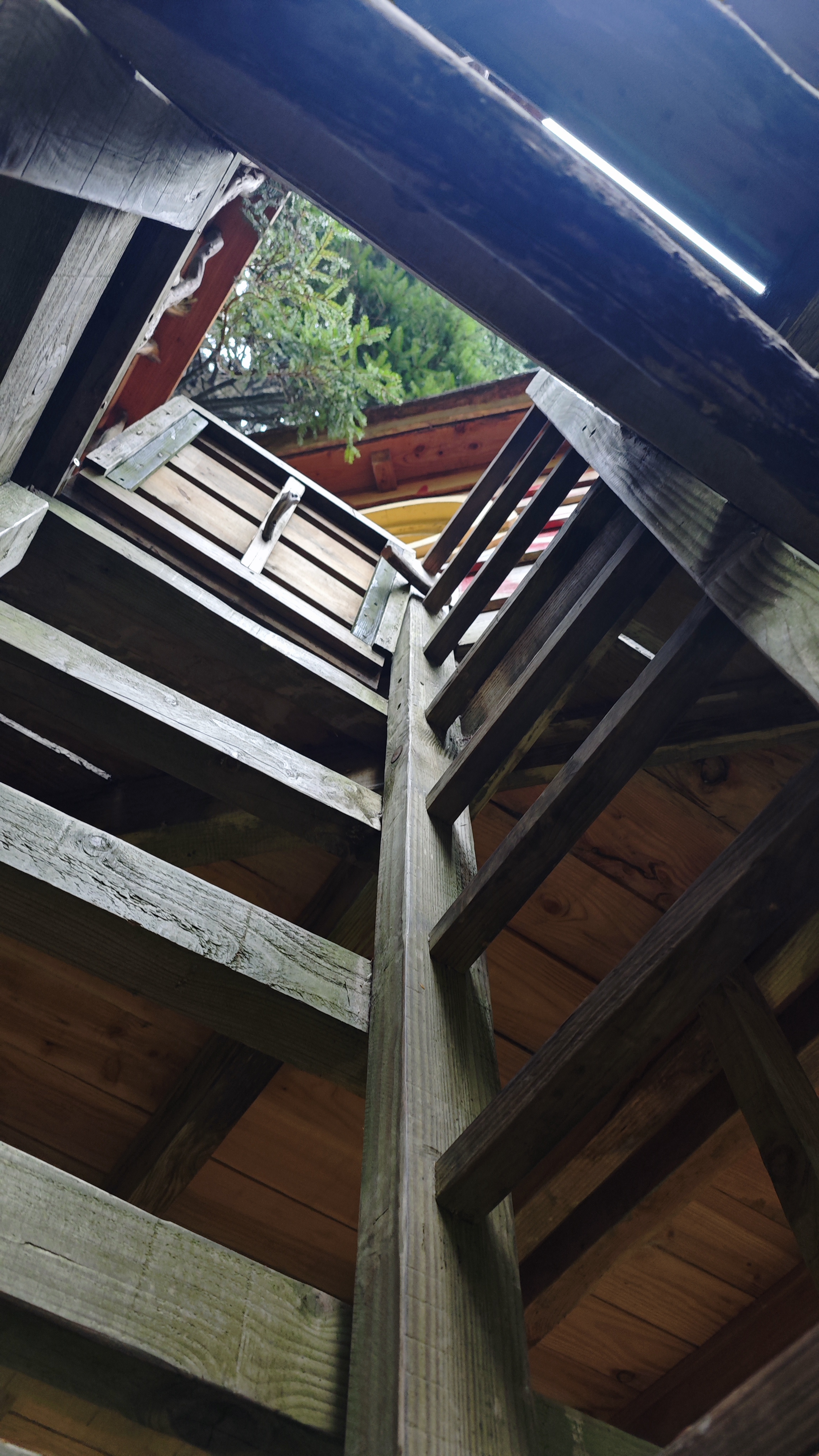 Subida por la escalera para acceder a la Cabaña Eguzki, en la cabaña en los árboles, País Vasco