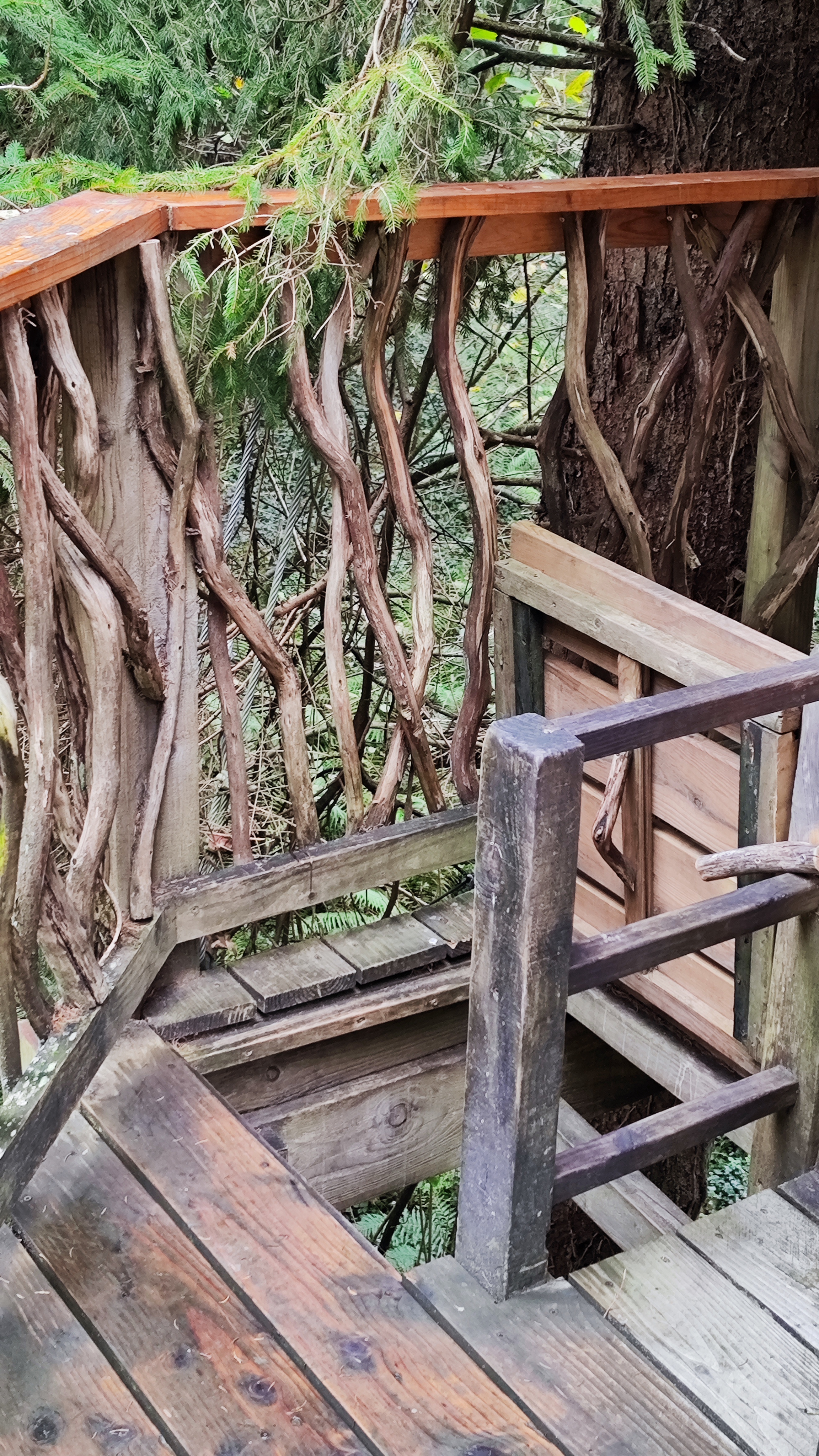 Escaleras para acceder a la Cabaña Eguzki, en la cabaña en los árboles, País Vasco